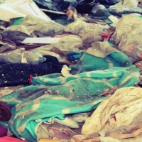 Gross Filth Cleaning 3